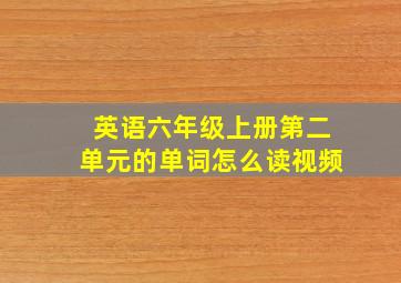 英语六年级上册第二单元的单词怎么读视频