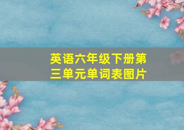 英语六年级下册第三单元单词表图片