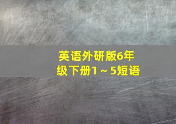 英语外研版6年级下册1～5短语