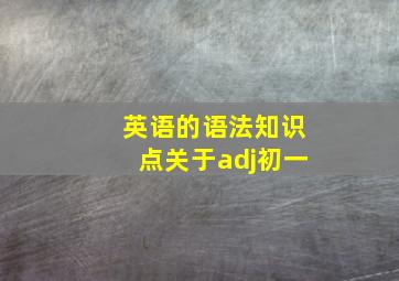 英语的语法知识点关于adj初一