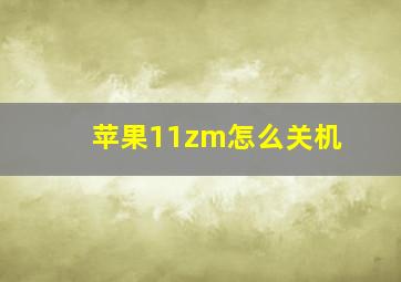 苹果11zm怎么关机