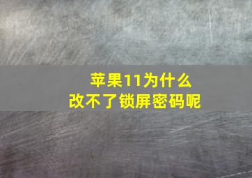 苹果11为什么改不了锁屏密码呢