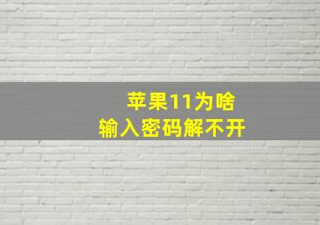 苹果11为啥输入密码解不开