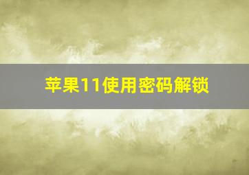 苹果11使用密码解锁