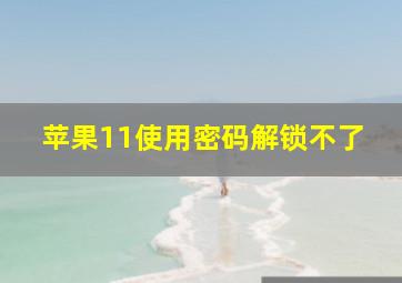 苹果11使用密码解锁不了