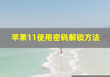 苹果11使用密码解锁方法