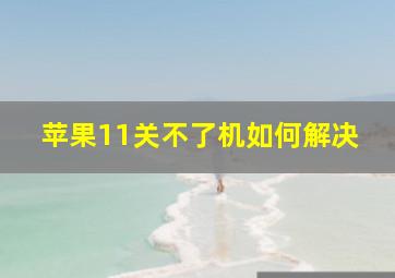 苹果11关不了机如何解决