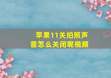 苹果11关拍照声音怎么关闭呢视频