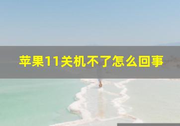 苹果11关机不了怎么回事