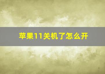 苹果11关机了怎么开