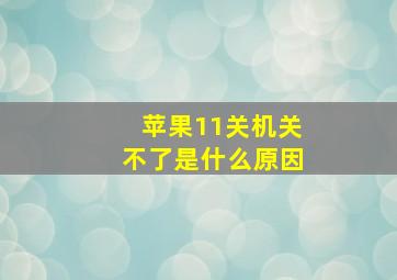 苹果11关机关不了是什么原因