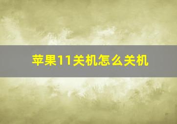 苹果11关机怎么关机