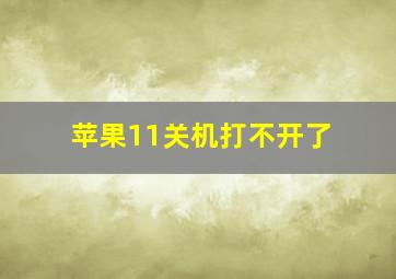 苹果11关机打不开了