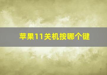 苹果11关机按哪个键