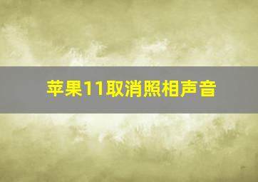 苹果11取消照相声音