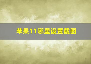 苹果11哪里设置截图