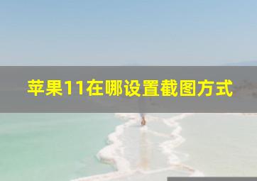 苹果11在哪设置截图方式