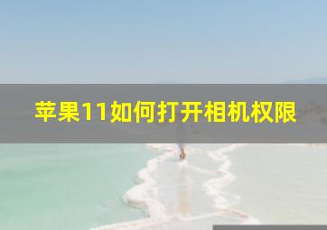 苹果11如何打开相机权限