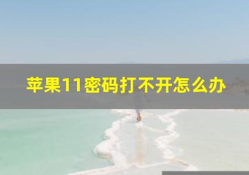 苹果11密码打不开怎么办