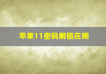 苹果11密码解锁在哪