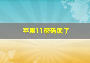 苹果11密码锁了