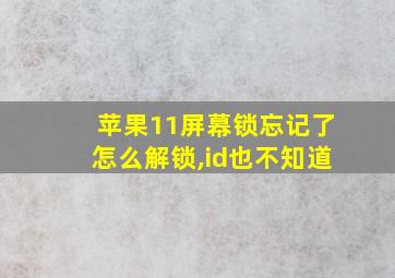 苹果11屏幕锁忘记了怎么解锁,id也不知道