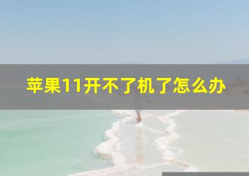 苹果11开不了机了怎么办