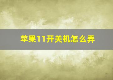 苹果11开关机怎么弄