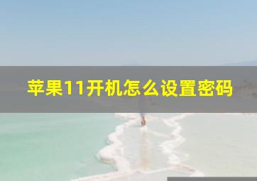 苹果11开机怎么设置密码