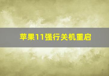 苹果11强行关机重启