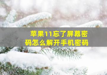 苹果11忘了屏幕密码怎么解开手机密码