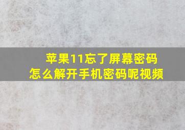 苹果11忘了屏幕密码怎么解开手机密码呢视频