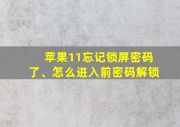 苹果11忘记锁屏密码了、怎么进入前密码解锁