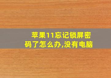 苹果11忘记锁屏密码了怎么办,没有电脑