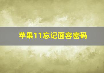 苹果11忘记面容密码