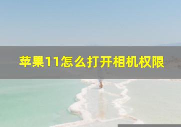 苹果11怎么打开相机权限