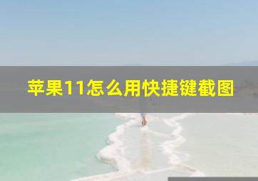 苹果11怎么用快捷键截图