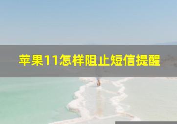 苹果11怎样阻止短信提醒