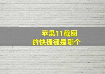 苹果11截图的快捷键是哪个