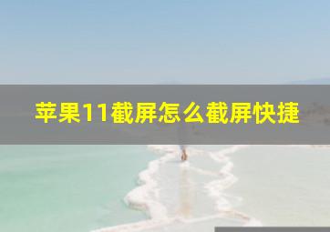 苹果11截屏怎么截屏快捷