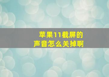 苹果11截屏的声音怎么关掉啊