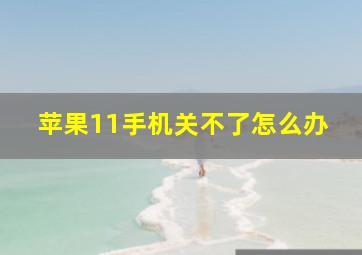 苹果11手机关不了怎么办