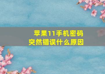 苹果11手机密码突然错误什么原因