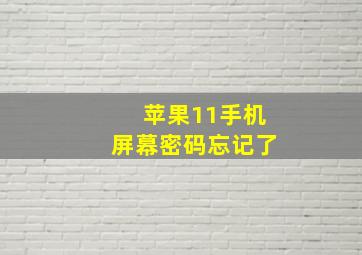 苹果11手机屏幕密码忘记了