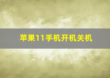 苹果11手机开机关机