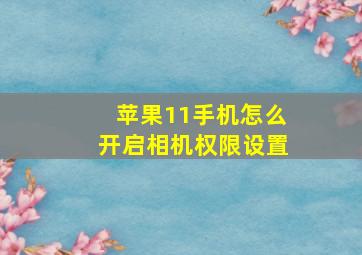 苹果11手机怎么开启相机权限设置