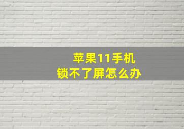 苹果11手机锁不了屏怎么办