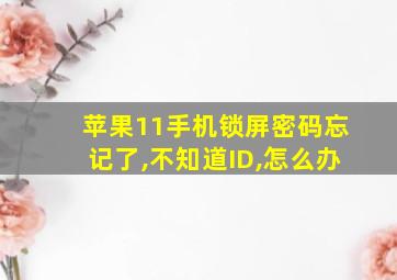 苹果11手机锁屏密码忘记了,不知道ID,怎么办