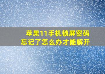 苹果11手机锁屏密码忘记了怎么办才能解开