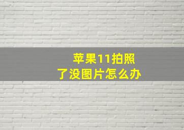 苹果11拍照了没图片怎么办